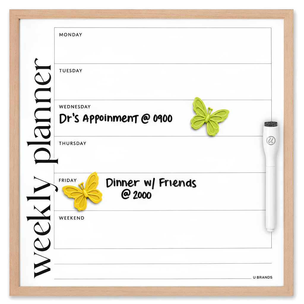 Butterfly Magnet Set – 2 Pieces · 4 Vibrant Colors
