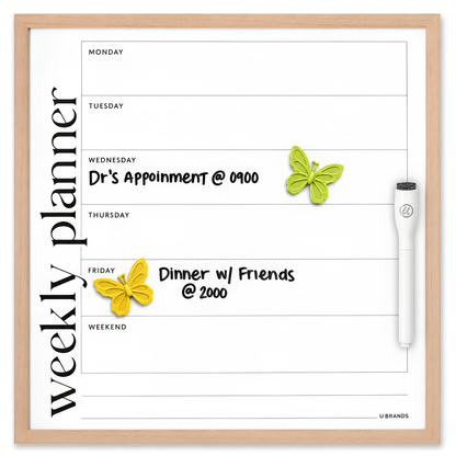 Butterfly Magnet Set – 2 Pieces · 4 Vibrant Colors